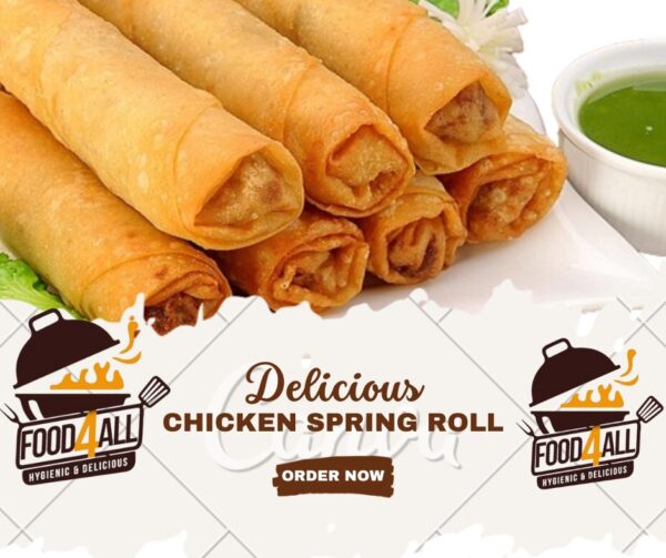 Chicken Spring Roll